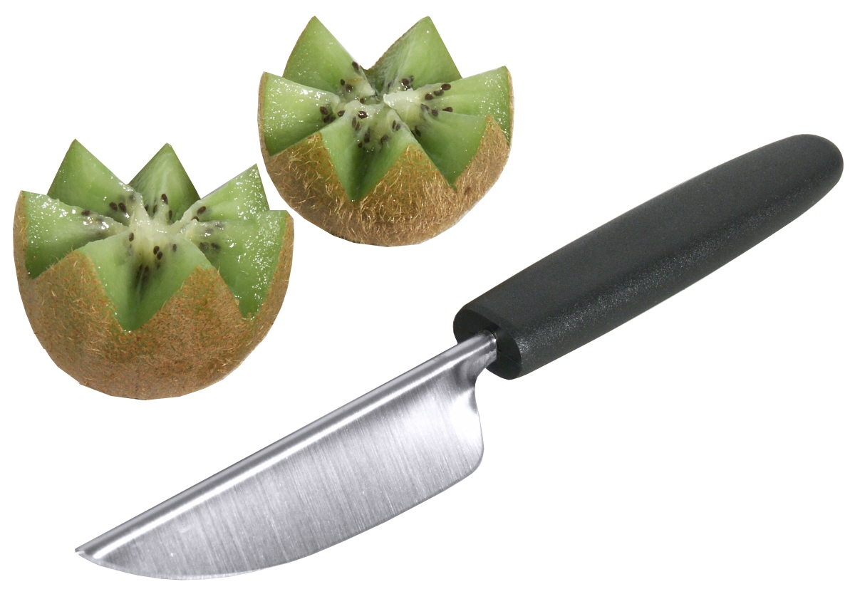Fruchtdekoriermesser mit PA-Griff 20,5 cm - Contacto
