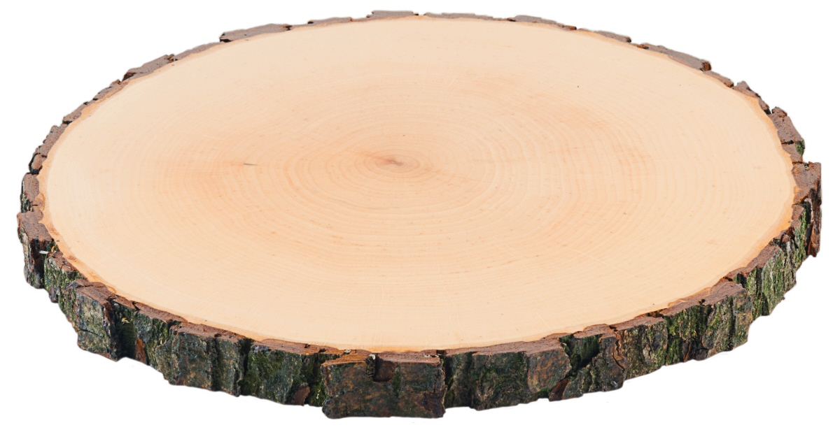 Contacto 3863/026 - Rindenbrett rund 23-26 cm