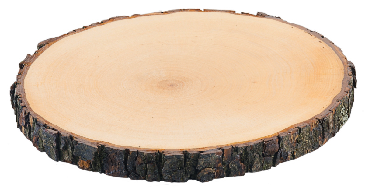Contacto 3863/022 - Rindenbrett rund 20-22 cm